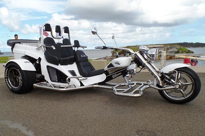 Grand Pacific Trike Tour - Bald Hill (Stanwell Tops Lookout): the ocean-view photo moment