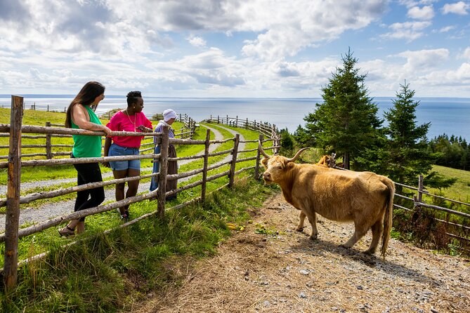Guided Highland Village and Baddeck Bus Tour for Cruise Excursion - Alexander Graham Bell National Historic Site: telephone history and the first powered flight