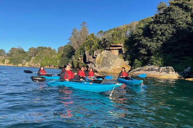 Guided Kayak Tour of Manly Cove Beaches - Key highlights at a glance