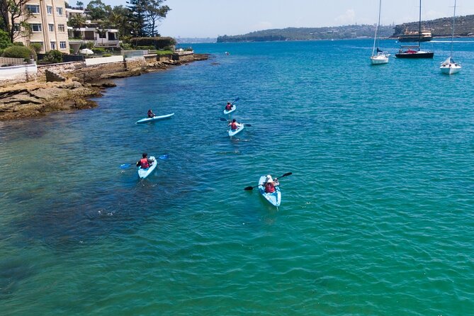 Guided Kayak Tour of Manly Cove Beaches - Stop 1: Collins Flat Beach caves and mini waterfalls