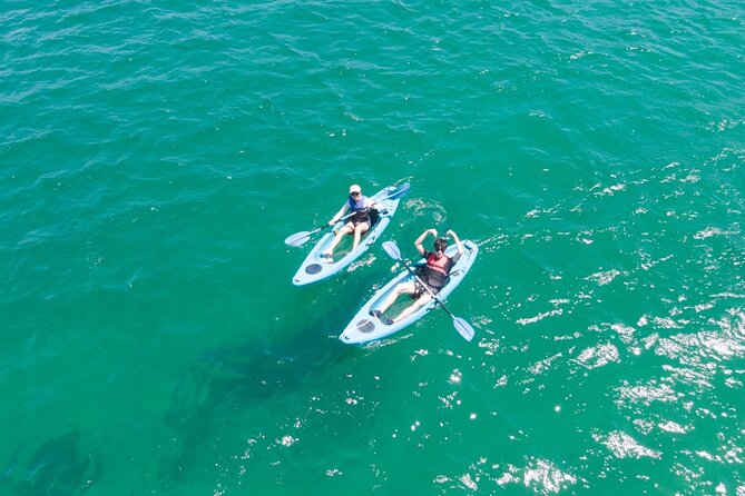 Guided Kayak Tour of Manly Cove Beaches - Stop 3: Store Beach and the relaxed paddle between coves