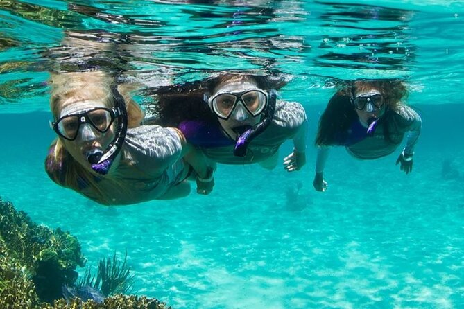 Guided Snorkeling Experience in Bondi - Your morning setup: gear, briefing, and quick confidence