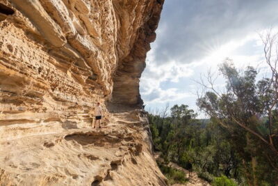 Guided Walking Tour in the Blue Mountains - Hidden Treasures - Springwood: coffee takeaway before the first lookout
