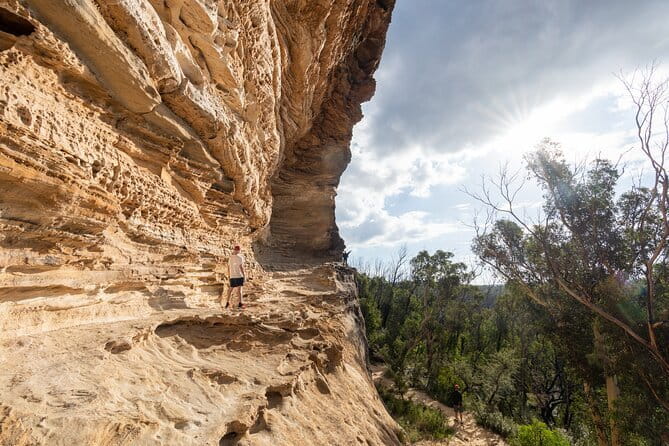 Guided Walking Tour in the Blue Mountains - Hidden Treasures - Springwood: coffee takeaway before the first lookout