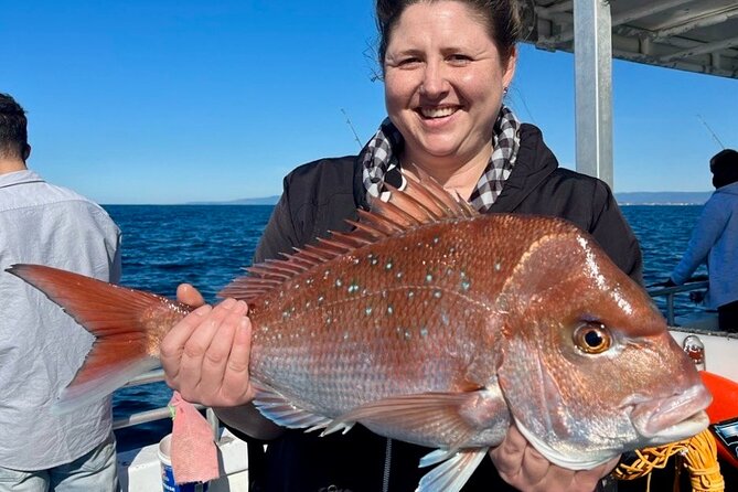 Half-Day Deep Sea Fishing in Wollongong - Weekdays only - What you’re catching (and what happens to your fish)