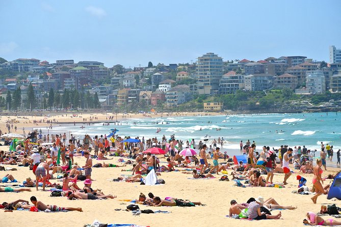 Half-Day or Full-Day Private Guide Hire From Sydney - Pickup, comfort, and why it saves real vacation time