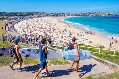 Half-Day or Full-Day Private Guide Hire From Sydney - The Sydney half-day feel (about 4 hours) without the rush