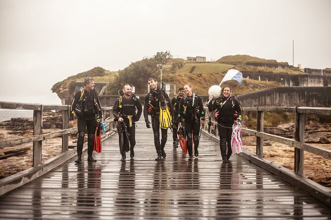 Half-Day Private Discover Dive at Australia's Iconic Beach - Key highlights I think are worth your attention