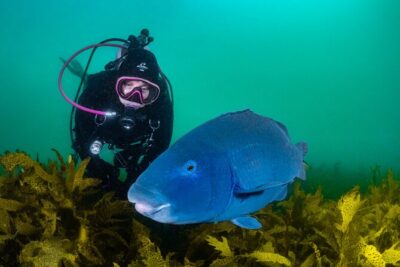 Half-Day Private Discover Dive at Australia's Iconic Beach - Equipment and what you actually need to bring