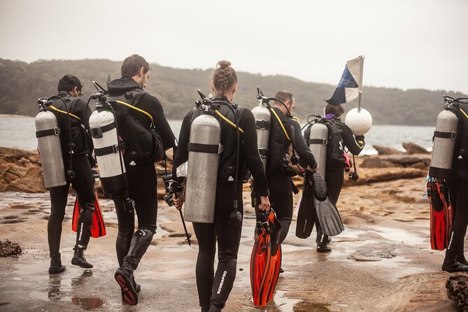 Half-Day Private Discover Dive at Australia's Iconic Beach - Private attention with a 2:1 instructor ratio