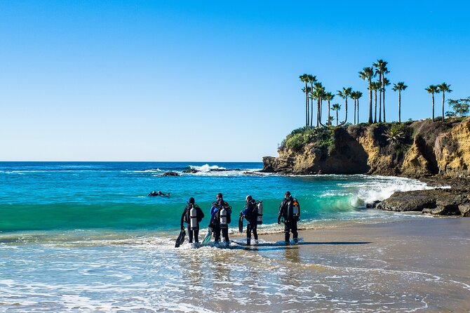 Half-Day Private Discover Dive at Australia's Iconic Beach - Marine life at Bondi: what to expect and how to maximize your chances