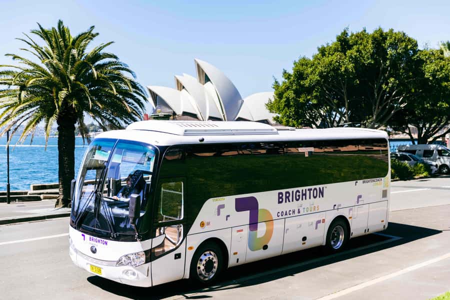Half Day Sydney Sightseeing Tour - The Rocks & Bondi Beach - Bondi Beach arrival: Pavilion views and time to enjoy the sand