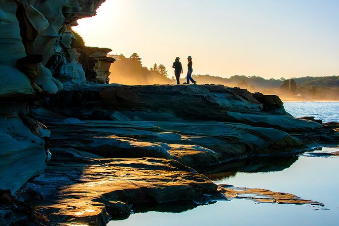 Horse Riding, Koalas & Kangaroos - Wild Australia: Private Tour - Harbour Bridge crossing plus Berowra Valley National Park bushwalk