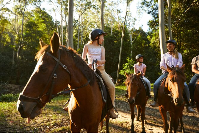 Horse Riding, Koalas & Kangaroos - Wild Australia: Private Tour - Warrah Lookout flying fox or fruit bat colony