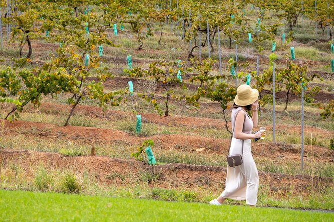 Hunter Valley All Inclusive, Wine, Chocolate Tasting and Lunch - Stop 4: Drayton’s Family Wines (45 minutes)