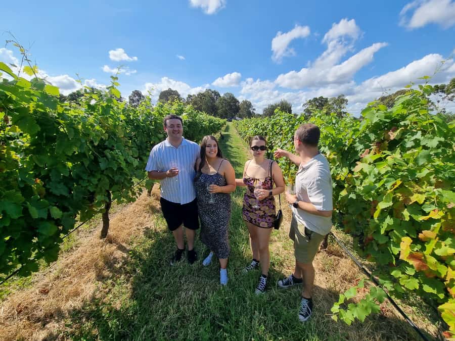 Hunter Valley: Beer & Wine Group Tour - Vineyard and winery production tours: you learn while you taste