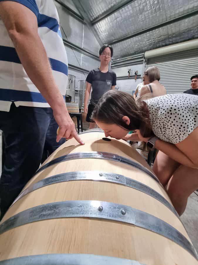 Hunter Valley: Beer & Wine Group Tour - First tastings and the rhythm of the day