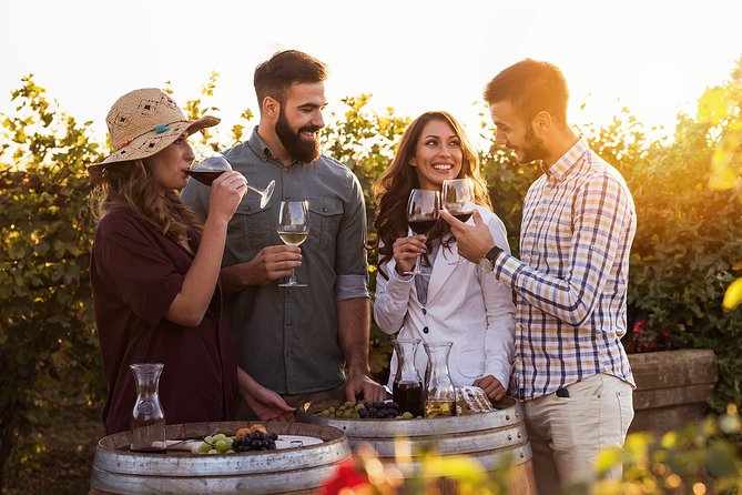 Hunter Valley Highlights Private Wine Tour from Sydney - Key highlights you’ll feel all day