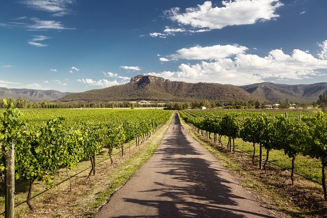 Hunter Valley Highlights Private Wine Tour from Sydney - Cafe Enzo lunch break: plan for what you’ll pay