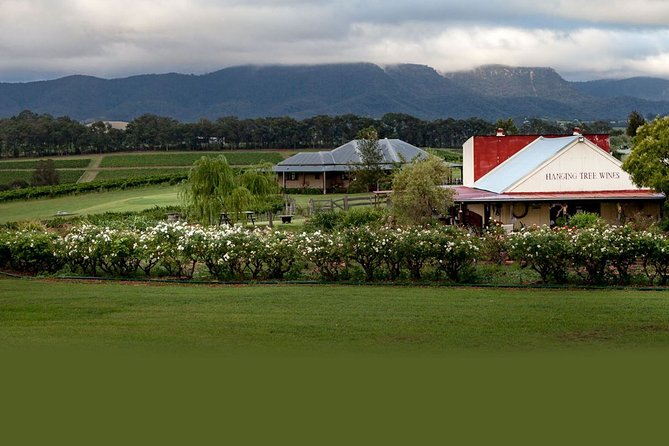 Hunter Valley Highlights Private Wine Tour from Sydney - Hunter Valley Chocolate Company: short tastings that reset your palate