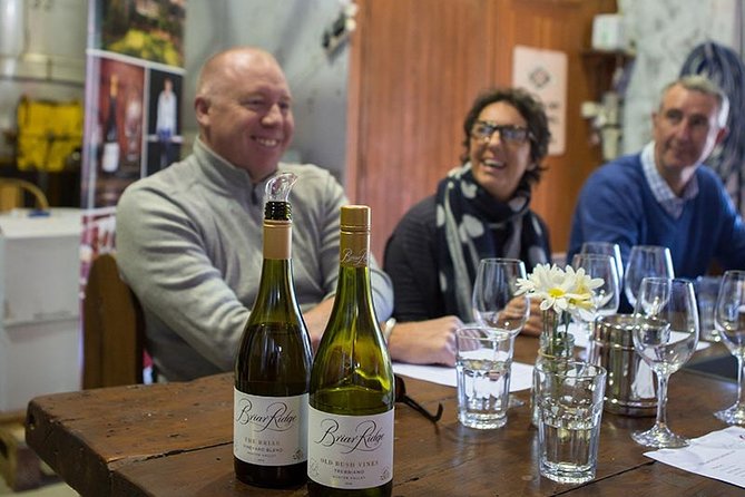 Hunter Valley Highlights Private Wine Tour from Sydney - Briar Ridge Vineyard: first taste with a skyline view