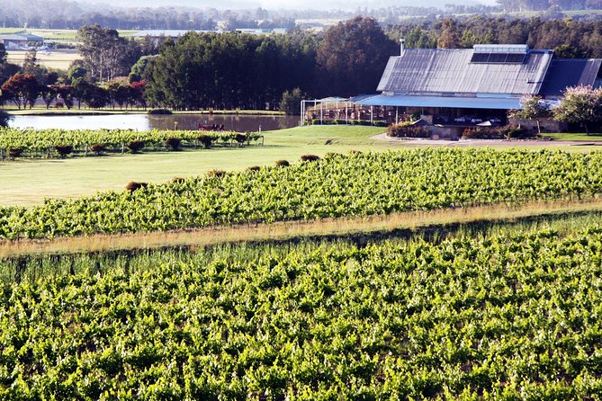 Hunter Valley Private Wine Tasting Tour from Sydney - Key highlights to know before you go