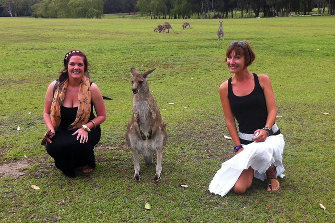 Hunter Valley Private Wine Tasting Tour from Sydney - From Coast Hanger to wine glasses: how the day starts