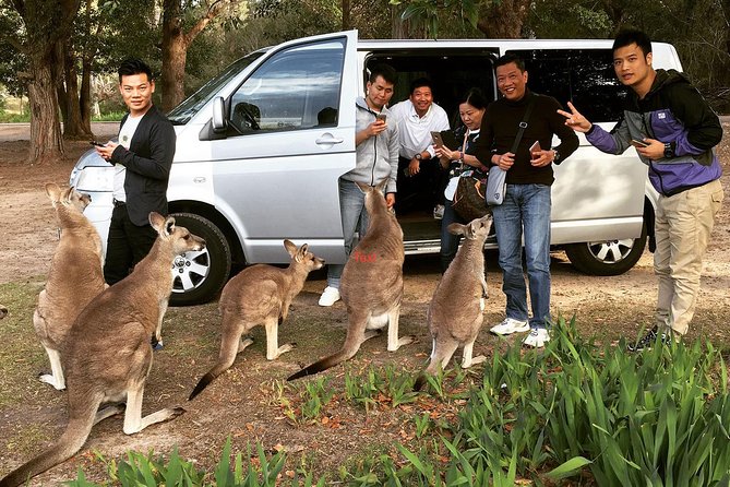 Hunter Valley Private Wine Tasting Tour from Sydney - Stop 3 after lunch: the boutique finale