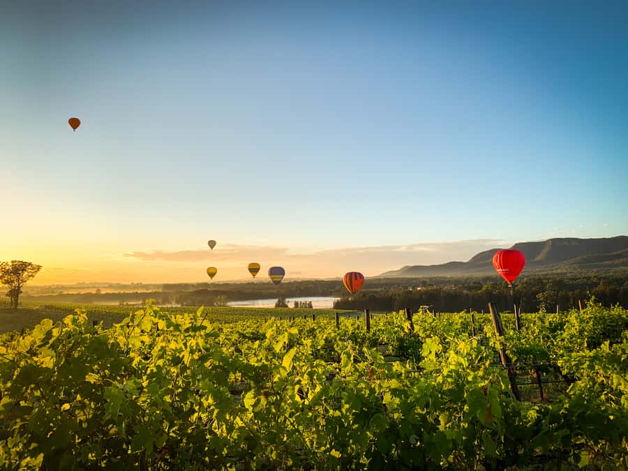 Hunter Valley: Sunrise Balloon Ride with Bubbly Breakfast - The Flight Timing: How Long You’ll Actually Spend Aloft