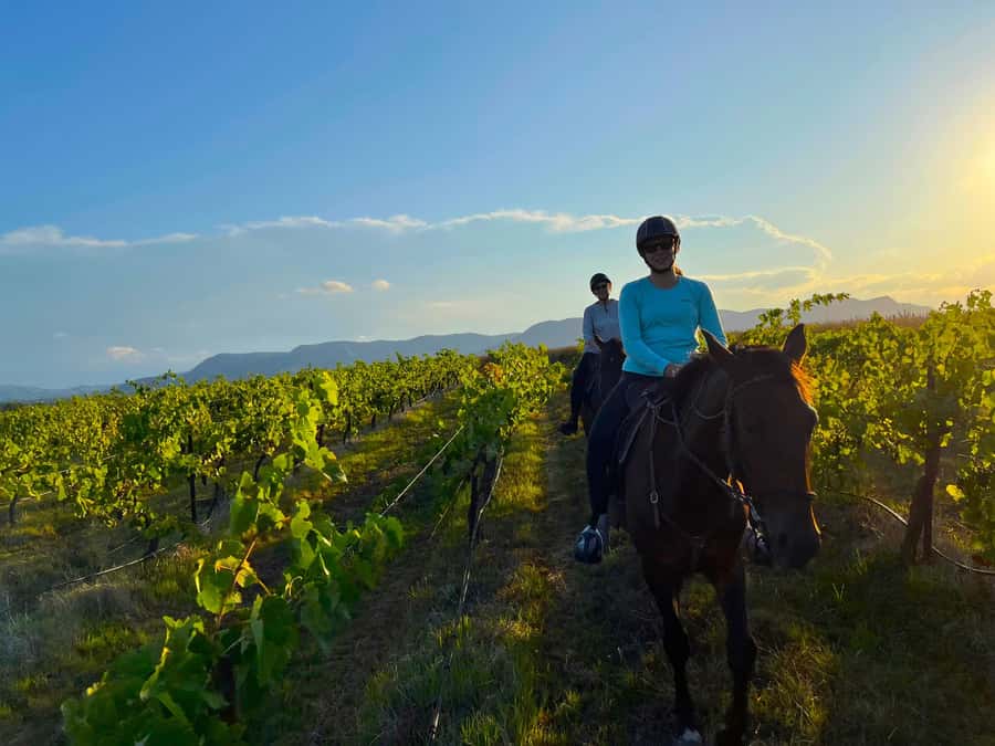 Hunter Valley: Sunset Horse Riding Tour 90min - Key Things I’d Prioritize Before You Book
