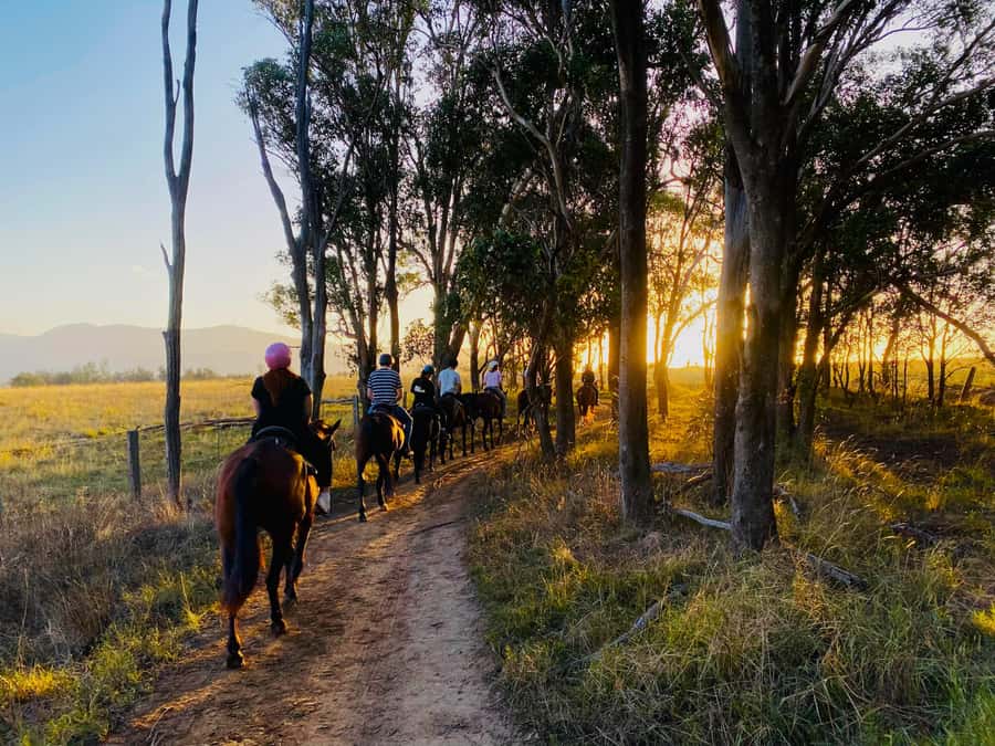 Hunter Valley: Sunset Horse Riding Tour 90min - Hunter Valley Sunset Riding: What You’re Really Paying For