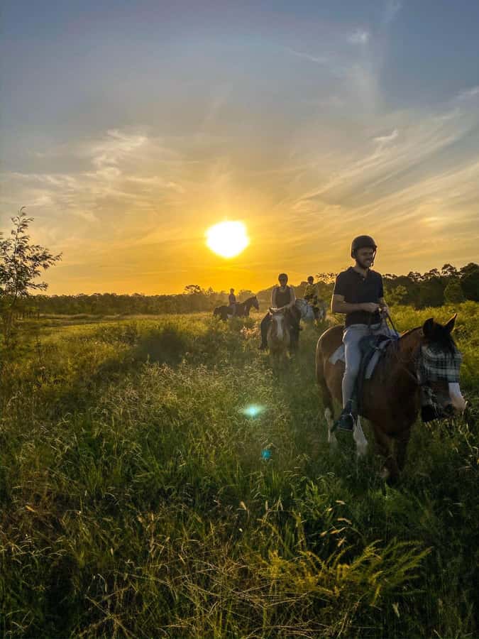 Hunter Valley: Sunset Horse Riding Tour 90min - The Ride Itself: Bushland, Farmland, and Dusk Moments