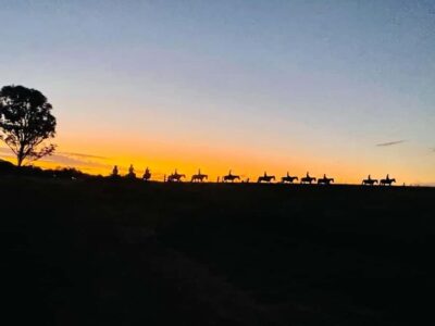 Hunter Valley: Sunset Horse Riding Tour 90min - Getting Oriented: Meeting the Horse at Hunter Valley Resort