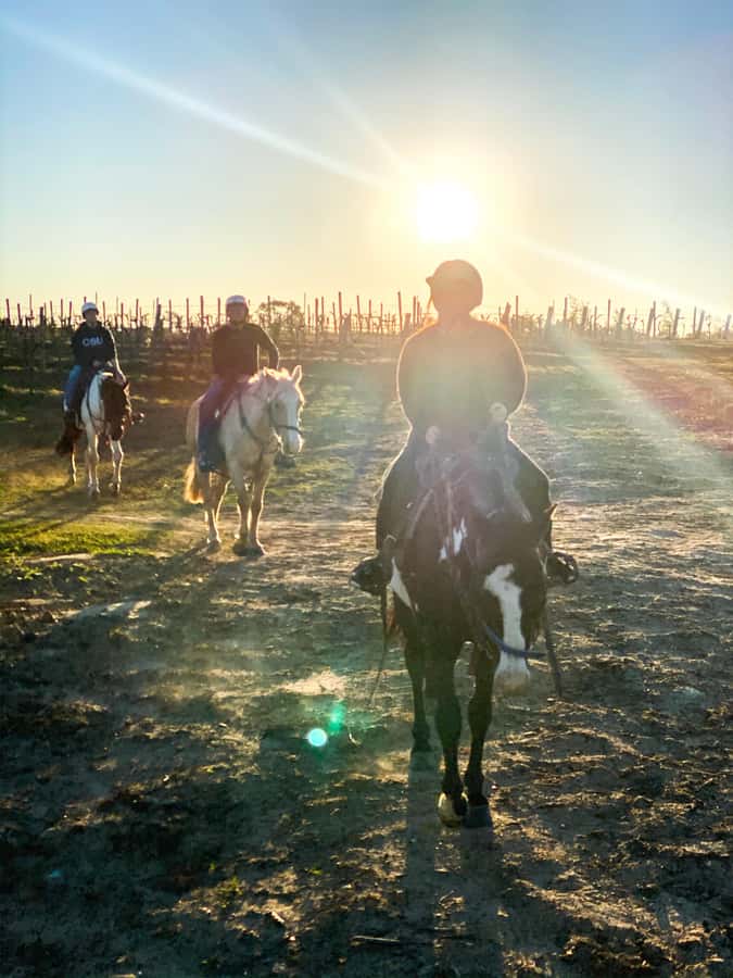 Hunter Valley: Sunset Horse Riding Tour 90min - Pokolbin Views and the Broken Back Range Sunset Moment