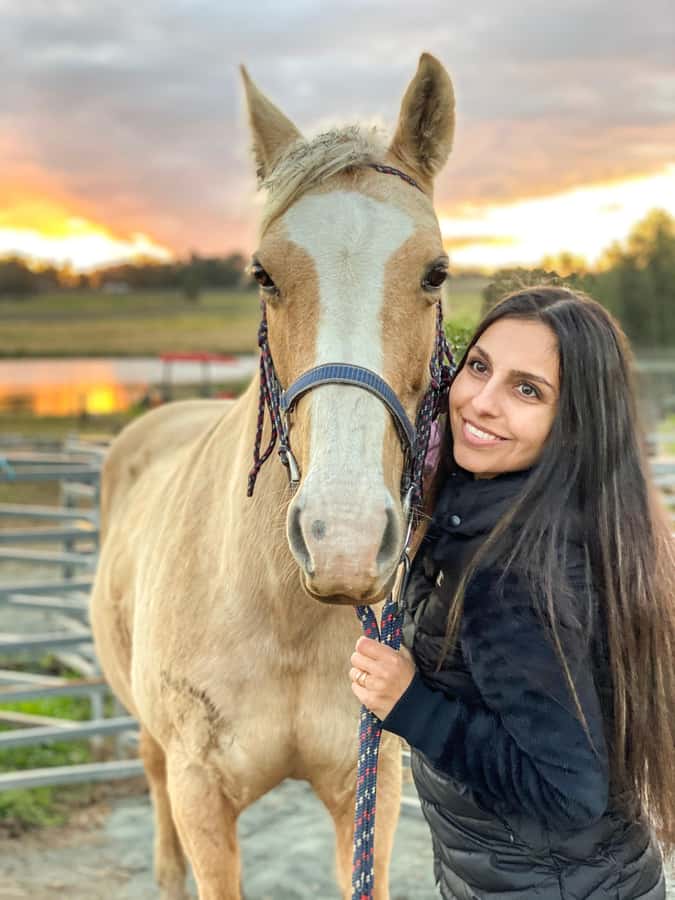Hunter Valley: Sunset Horse Riding Tour 90min - Price and Value Check: Is $123 for 90 Minutes Fair?