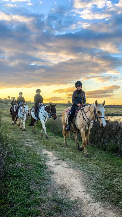 Hunter Valley: Sunset Horse Riding Tour 90min - Who This Tour Fits Best (And Who Might Skip It)