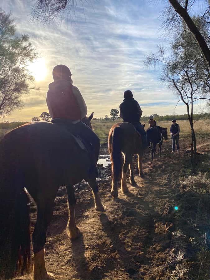 Hunter Valley: Sunset Horse Riding Tour 90min - Book It or Pass: My Practical Take