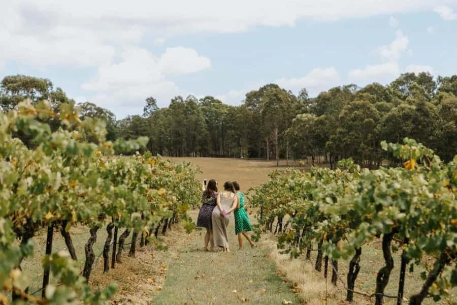 Hunter Valley: Tastes of the Hunter Half Day Tour - Half-Day Wine, Spirits, Cheese, and Chocolate in Pokolbin and Lovedale