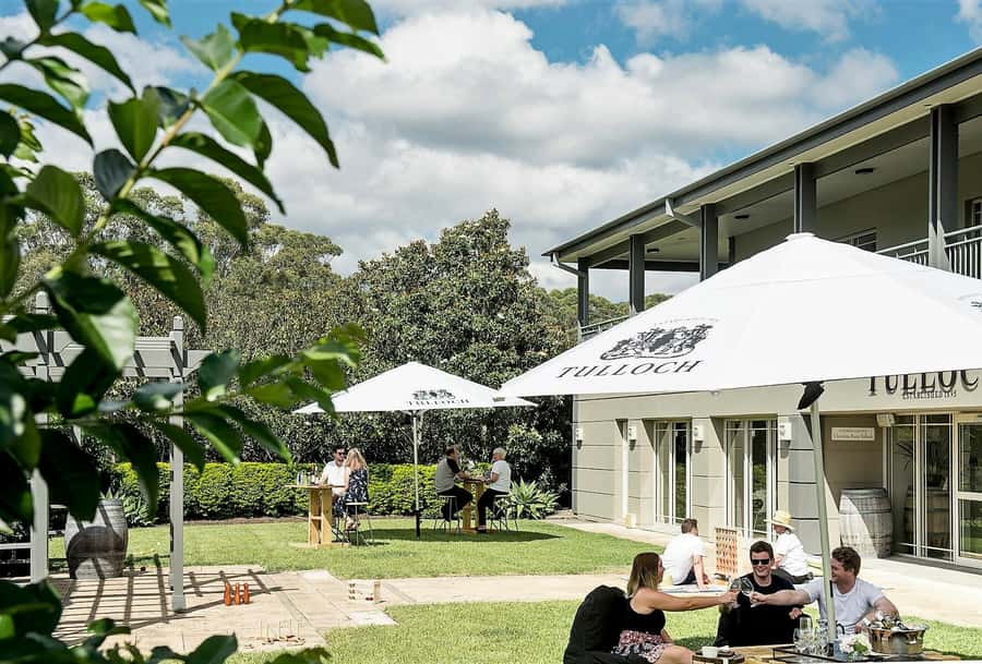 Hunter Valley: Tulloch Wine Tasting and Chocolate Pairings - Tulloch Cellar Door: What a 45-Minute Tasting Feels Like