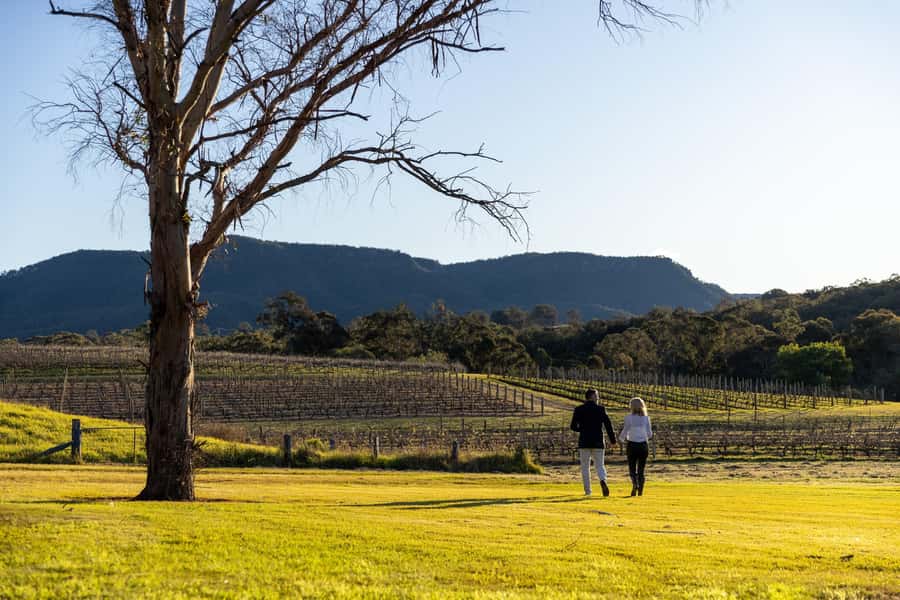 Hunter Valley: Wine and Cheese Tasting - Chocolate and fortified wines: the sweet finish that isn’t childish