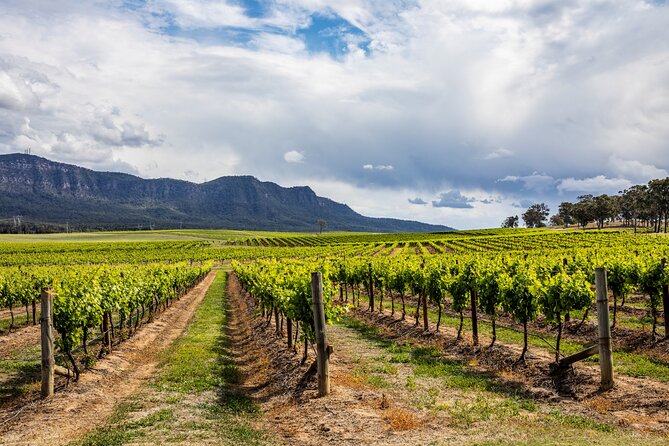 Hunter Valley Wine Tasting Tour from Sydney - Key things to know before you go