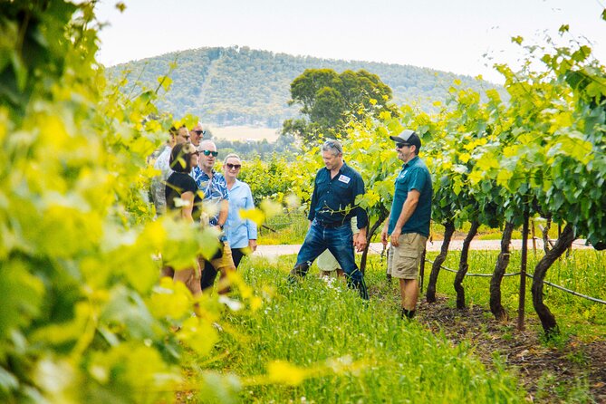 Hunter Valley Wine Tasting Tour from Sydney - Stop 1: Iron Gate Estate and the boutique-winery vibe
