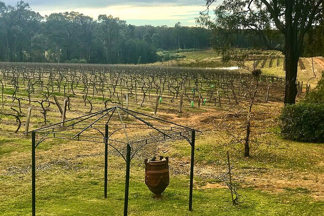 Hunter Valley Wine Tour from Sydney: 3 Wineries & Vineyard Picnic - Lunch at 4 Pines at the Farm: plan your fuel, not just your cravings