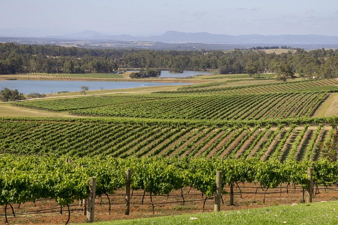 Hunter Valley Wine Tour from Sydney with Lunch and 3 Cellar Door Tastings - The Smelly Cheese Shop: Your Tasting Room Warm-Up