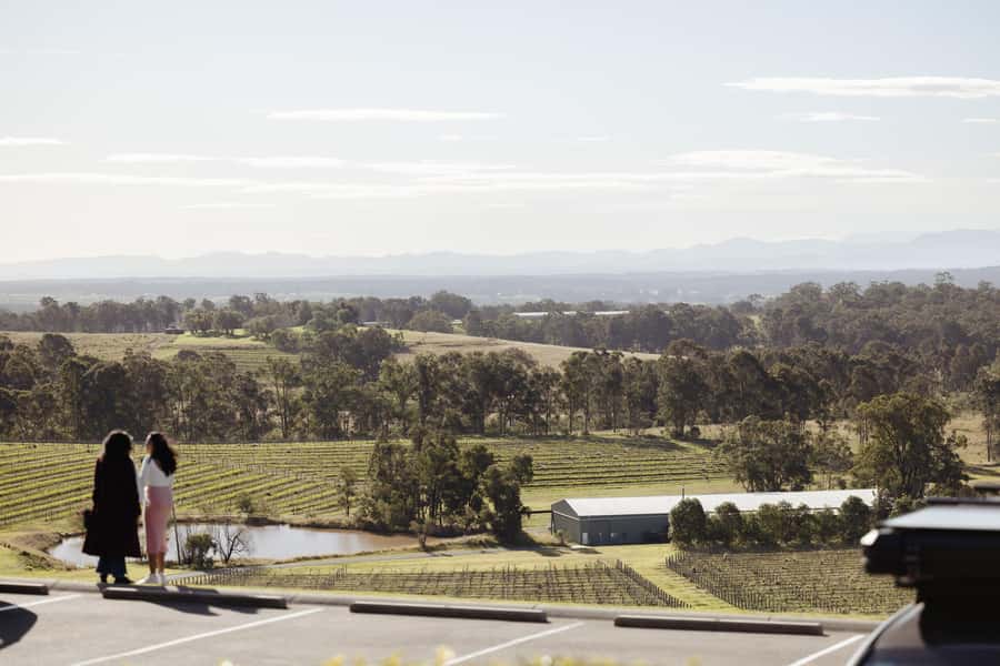 Hunter Valley: Wine Tour with 2-Course Lunch, Choc & Cheese - How Much Tasting You Actually Get (And How to Pace It)