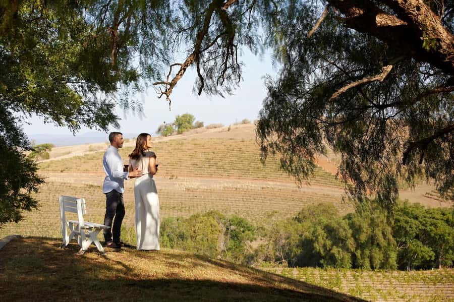 Hunter Valley: Wine Tour with 3 Tastings and Garden Lunch - Hunter Valley Village Break: Shops, Art, and a Change of Pace