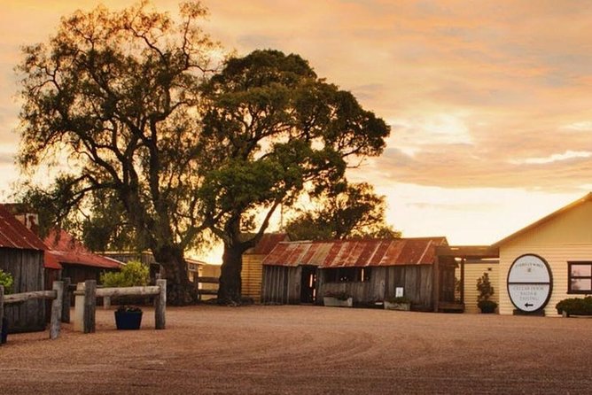 Hunter Valley Wine Tours | Wine Tasting Tours from Sydney - Oakvale Wines: Organic, Vegan-Friendly, and Minimal Intervention