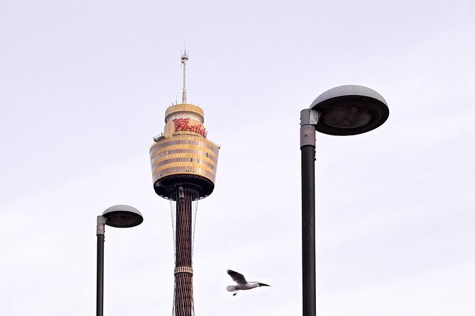Infinity by Mark Best - Sydney Tower Elegant Dining Experience - Where to Meet and How to Avoid the “Wait, Where Is It?” Moment