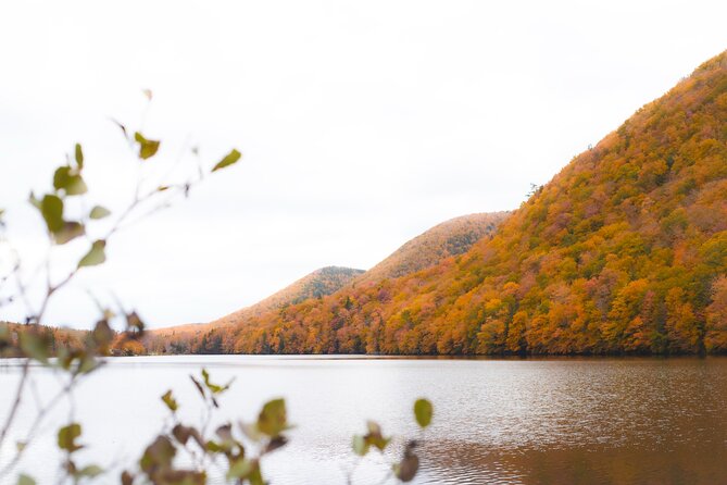 Ingonish and Keltic Lodge 6 Hours Cabot Trail Tour - Key Highlights You’ll Actually Notice