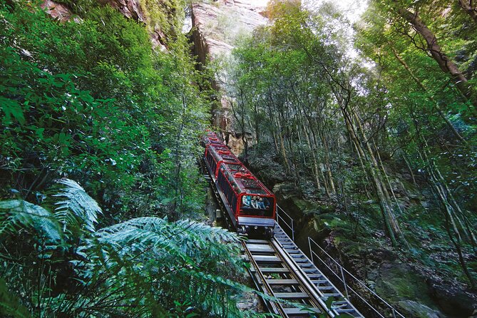 Intimate Blue Mountains Wild Kangaroos & Sunset for Nature Lovers - Walking and weather notes that can save your day